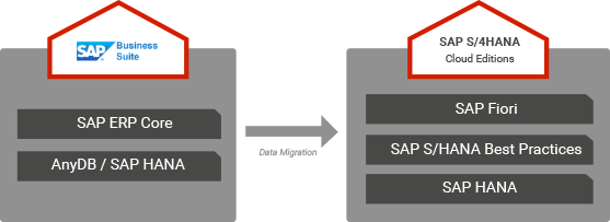 Scenario 2: System Conversion